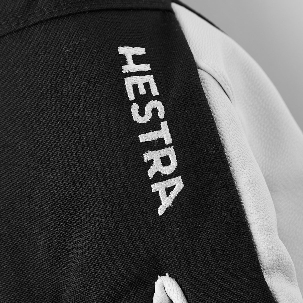 Hestra Army Leather Heli Ski - 5-Finger