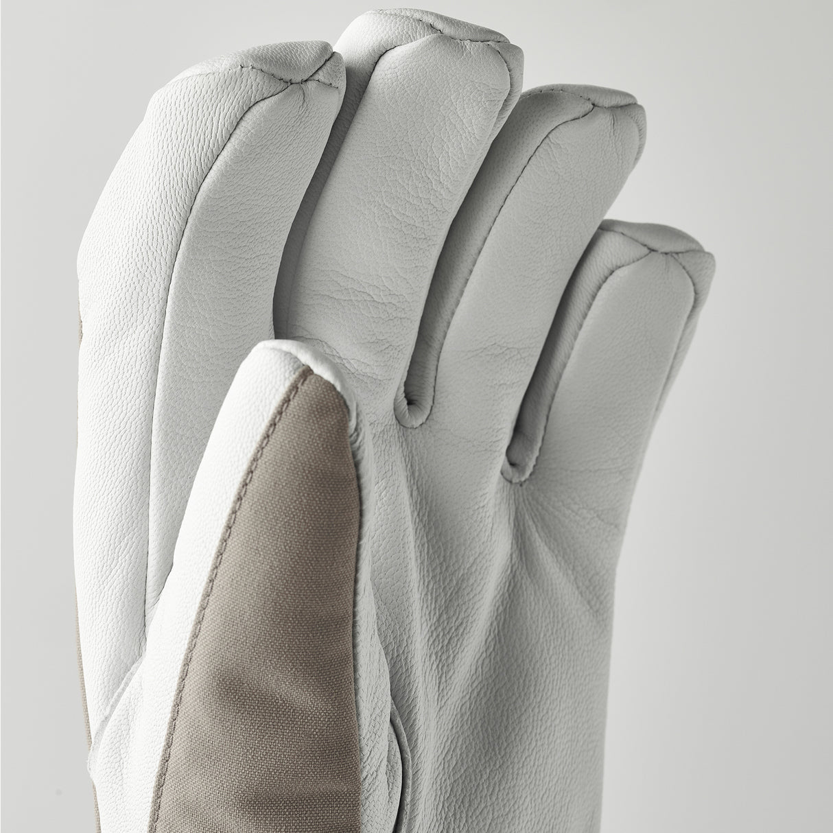 Hestra Army Leather Heli Ski - 5-Finger