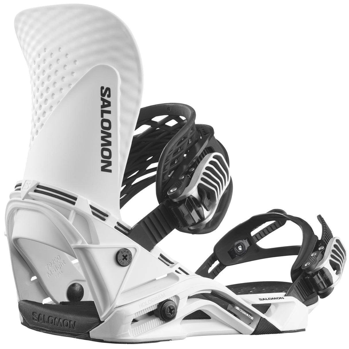 Salomon Hologram