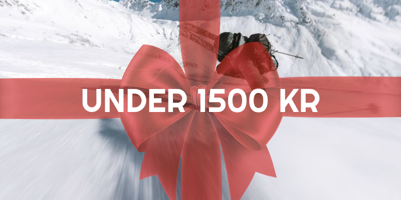 Christmas gift ideas under SEK 1500