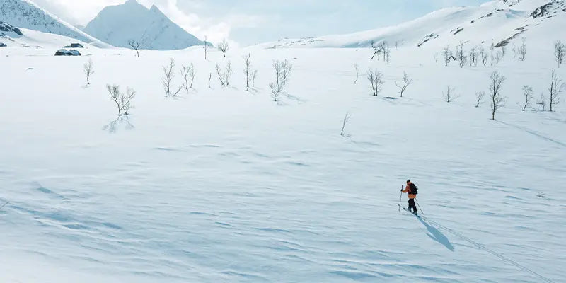 Ski touring skis