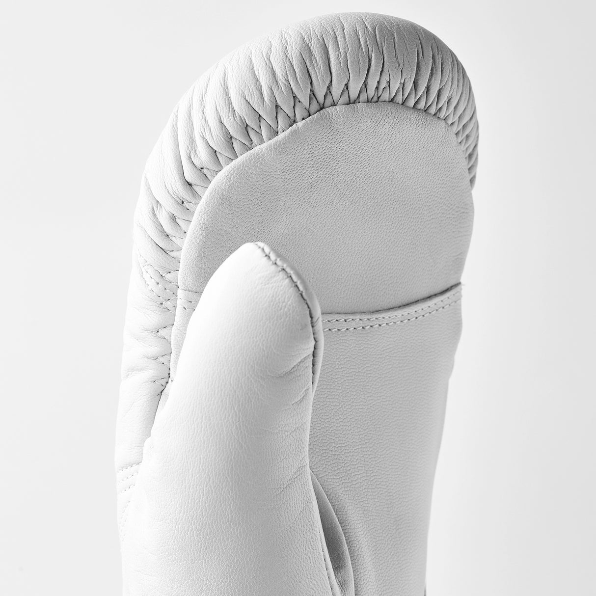 Hestra Leather Box mitt